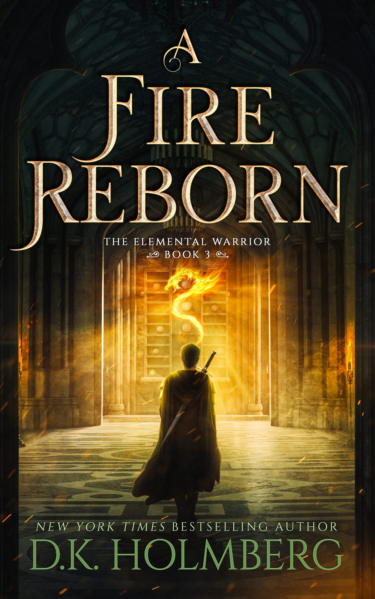 A Fire Reborn - DK Holmberg